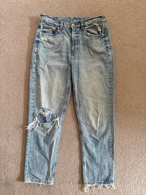American Eagle Outfitters Light Blue Distressed Mom Jeans